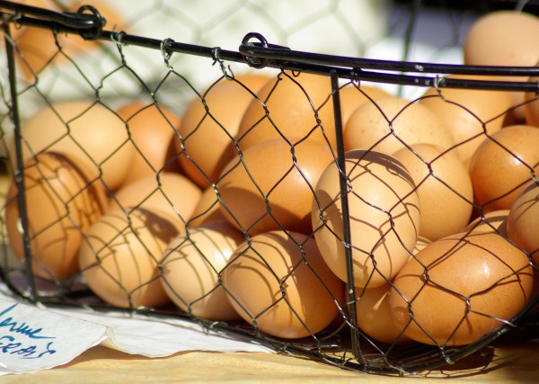 Des œufs dans un panier métallique