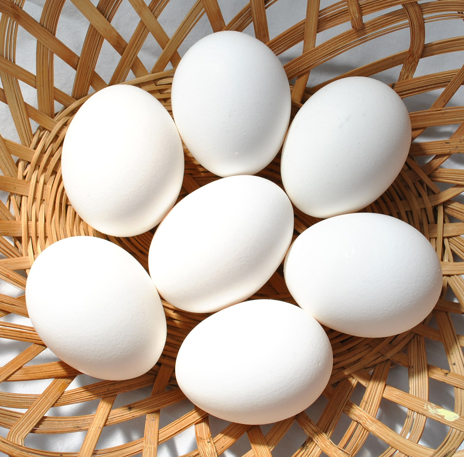 Difference Oeufs De Lompe Rouge Et Noir œufs de poule : tout ce qu'il faut impérativement savoir.