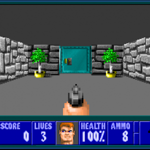 Wolfenstein 3D - oh, la belle porte.