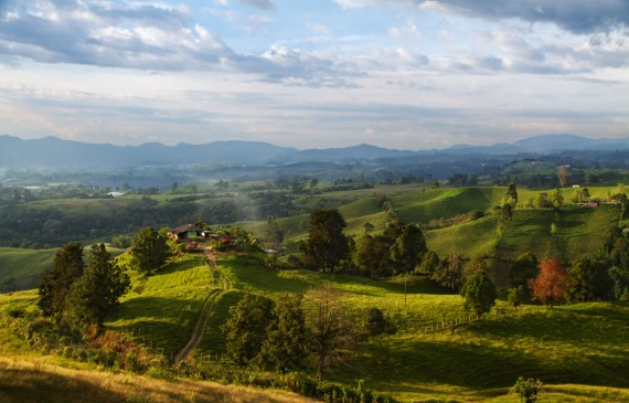 Colombian Landscape - Pedro Szekely - Playlist