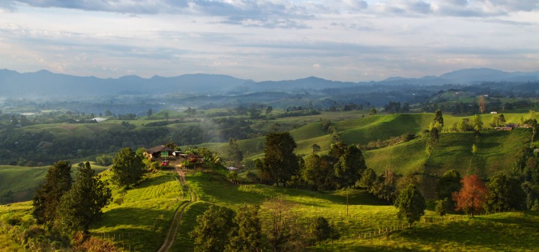 Colombian Landscape - Pedro Szekely - Playlist