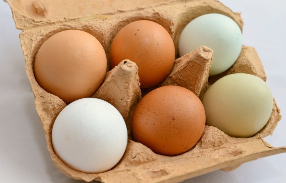 Une barquette d'œufs de différentes couleurs